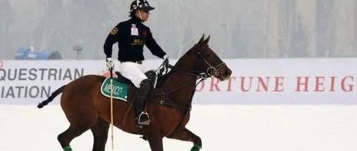 雪地马球