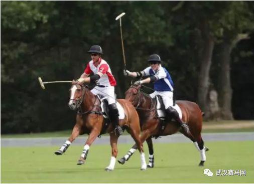 图片来源于网络