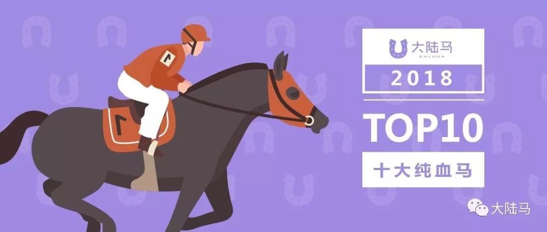 2018中国最有价值的十匹纯血马