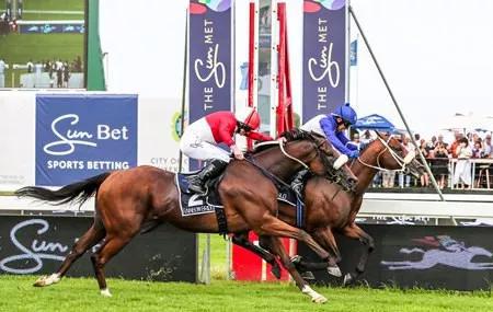 大都会锦标赛马