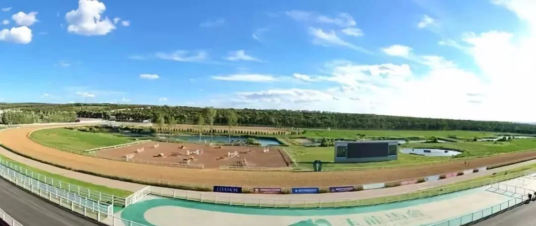 玉龙赛马奖金开创新模式 中国马主联盟"众里杯"总奖金达32万元