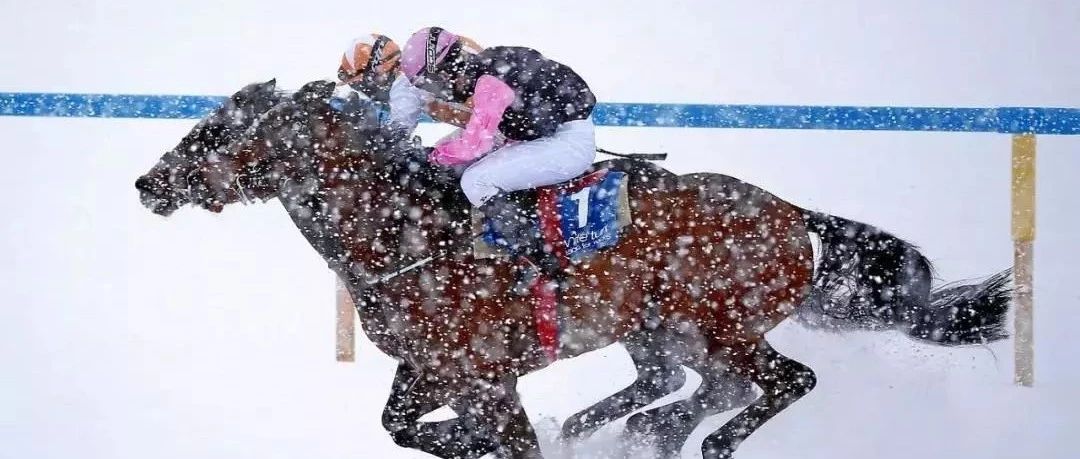 圣莫里茨雪上赛马大会