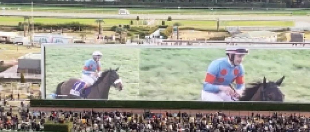 日本杯（JapanCup）