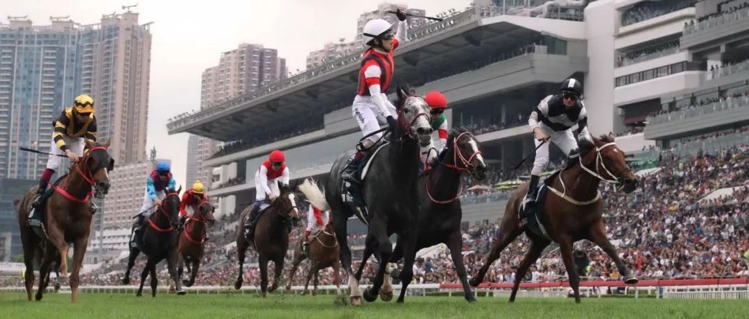 「胜出光采」庆祝瞬间