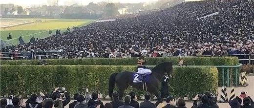 2017有马纪念赛冠军“北部玄驹”，图片来自推特网。