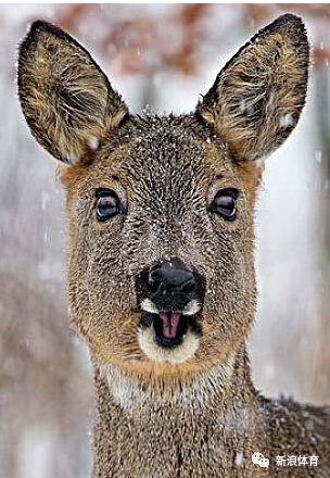 鹿晗都三十了？当年要为他献血的你们还好吗？