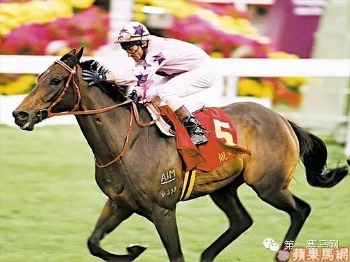 【优骏】它是首匹扬威海外大赛的香港马