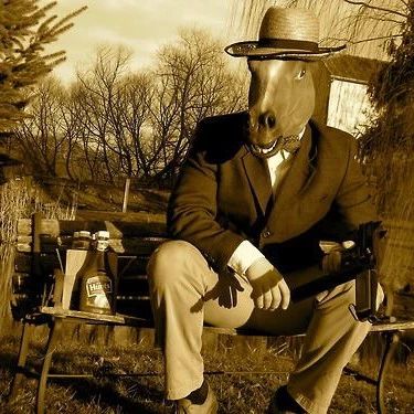 如果你有一匹马，你会给它取什么名字呢？