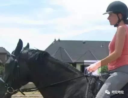 初学骑马，先要会坐