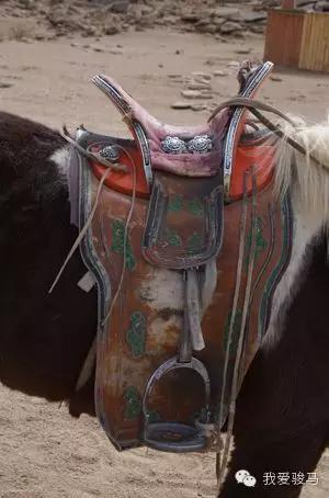 蒙古马鞍怎样选择马鞍:每一匹马的高低和骨骼结构都不完全相同,所以