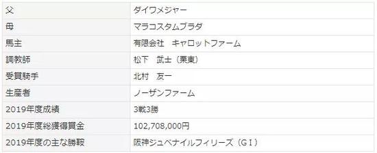 2019年度日本马王诞生