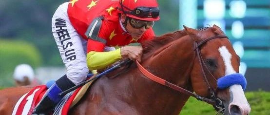 赛马中的缰绳示例