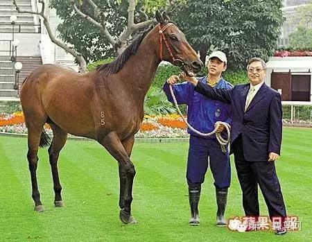 【优骏】它是首匹扬威海外大赛的香港马