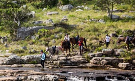 350公里“狂野海岸”耐力赛，全新模式挑战极限