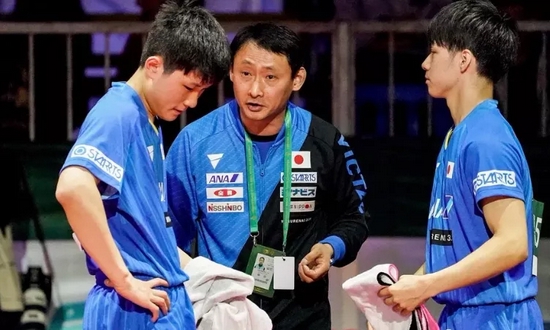 樊振东pk张本智和 原来天才也分级别_乒乓球_新浪竞技风暴_新浪网