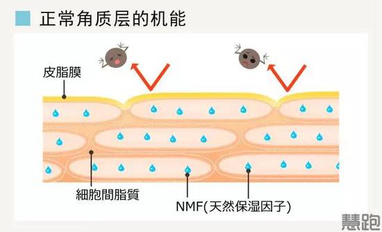 跑者拒绝苍老：怎样在风吹日晒地跑步中保护皮
