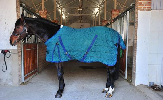 如何正确使用马衣