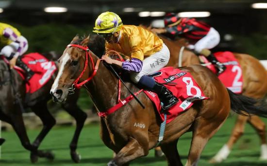「幸福分享」攻下一月杯