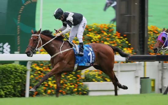 「时时精彩」成功卫冕渣打冠军暨遮打杯