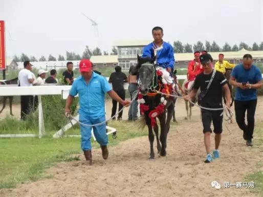 “图什业图宝驹”得胜归来。