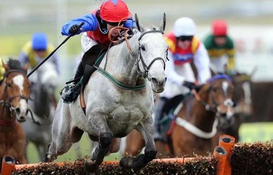 说到赛马你对海南有什么遐想