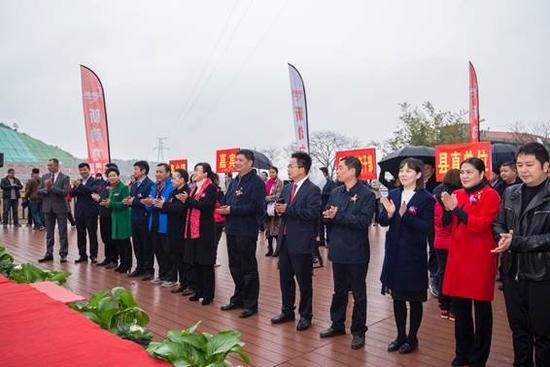 这都归功于各方的通力合作,尤其是大余县县委和政府的大力支持