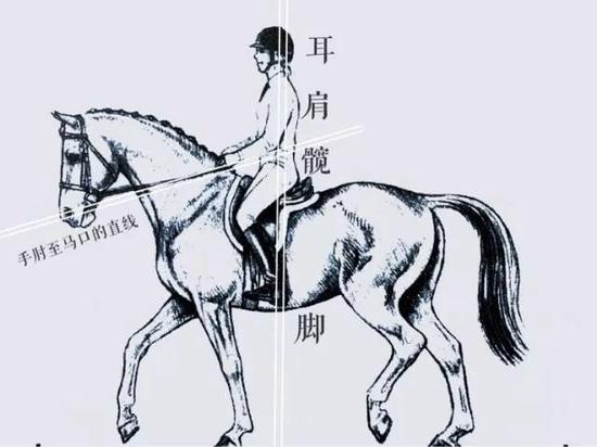 学骑马容易忽视的重要细节乘坐姿势与持缰方法