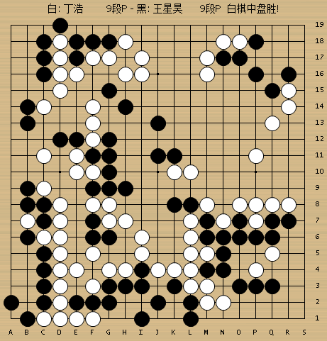 丁浩执白286手不计点胜王星昊