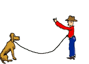 2。 可以随处挂的便便袋：大家都懂的，养狗的人外号为铲屎官。有屎必铲，这一点在国外已经被普及了；