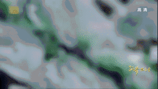 baby也是挺能耐的,被人追杀都快性命不保了,愣是眼睛眨都不眨,表情都