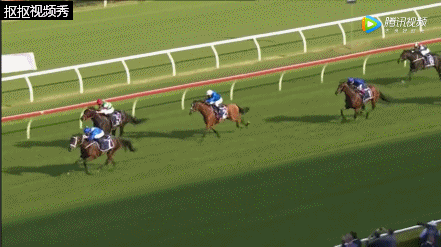 ▲“云丝仙子”退役之战冲刺动图。