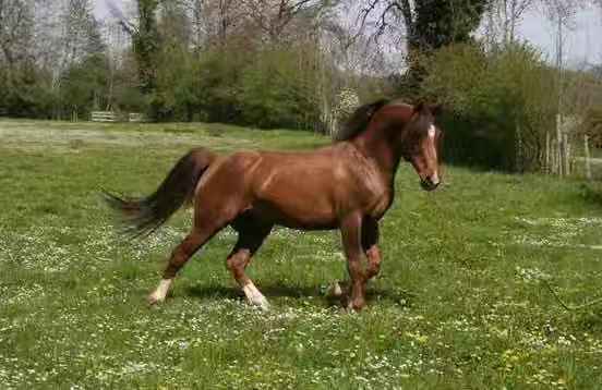 图片来源于网络