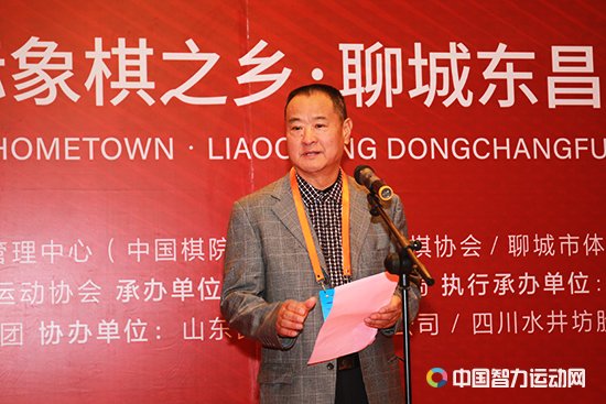 中国国际象棋协会主席杨俊安