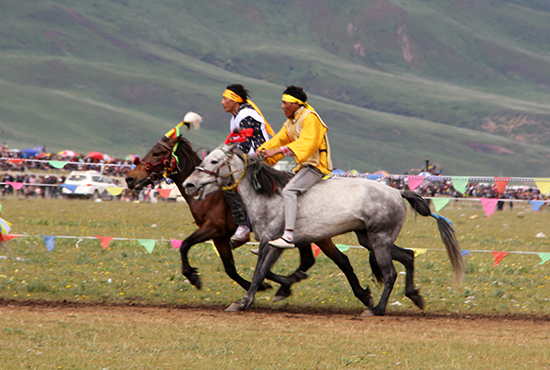赛马巴塘草原上的赛马人