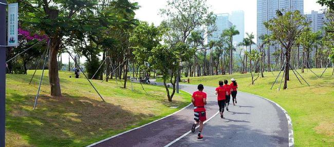 山海之间去哪运动？深圳评选十佳健身步道