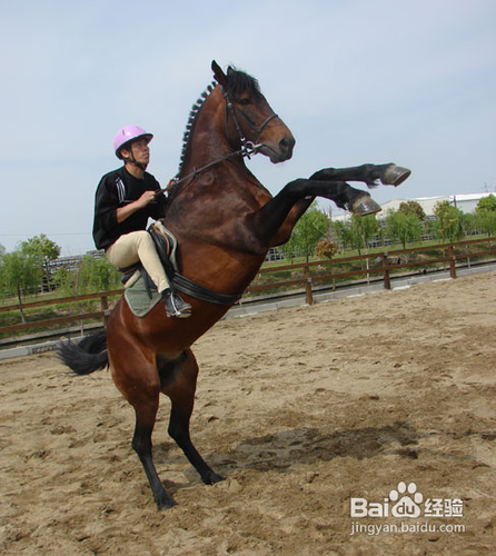 骑马