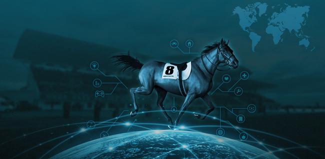 中国马术大数据平台