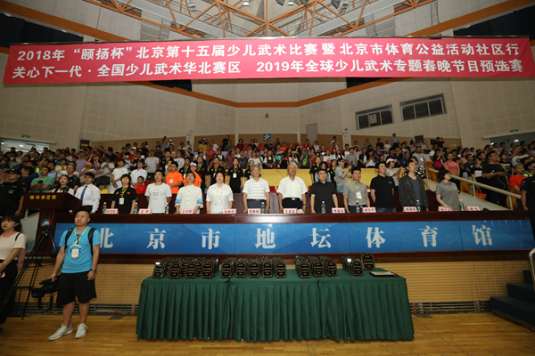 2018北京第十五届少儿武术比赛举行