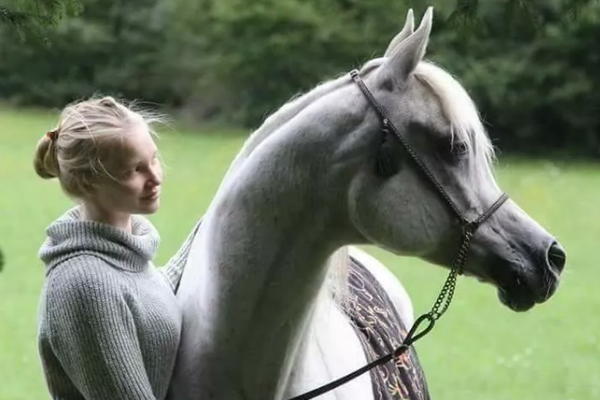 澳门六合开奖现场626969