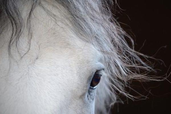 澳门马资料_开奖直播现场香港记
