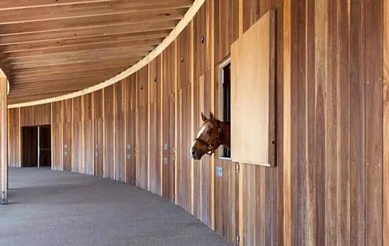 "五星级"马厩:田园与现代结合 自然与科技匹配