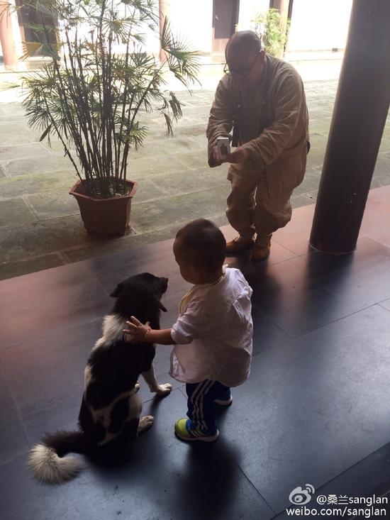 桑兰儿子与小狗玩耍