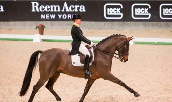 2015-2016赛季盛装舞步世界杯西欧联赛