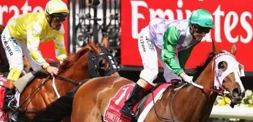 　　2015墨尔本杯造就了赛事历史上第一位女骑师米歇尔-佩恩