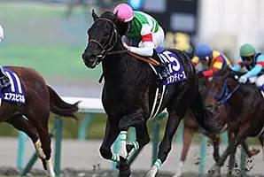 　　▲图/BloodHorse，‘里昂提斯*’