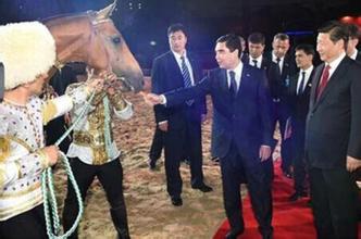 习近平接受别尔德穆哈梅多夫代表土方赠与中方的一匹汗血马