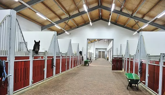 如艺术殿堂!阿卡狄亚马场被赞"全荷兰最好马房"_马术_新浪竞技风暴_新