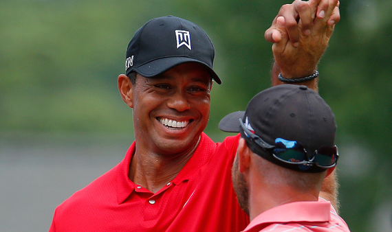 腰部手术对于老虎来说并非过不去的槛