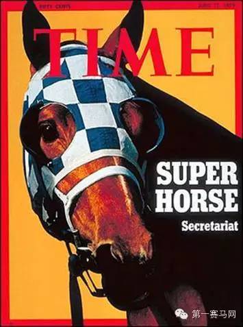 心脏比普通马大2倍