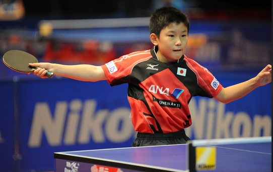 张本智和资料图